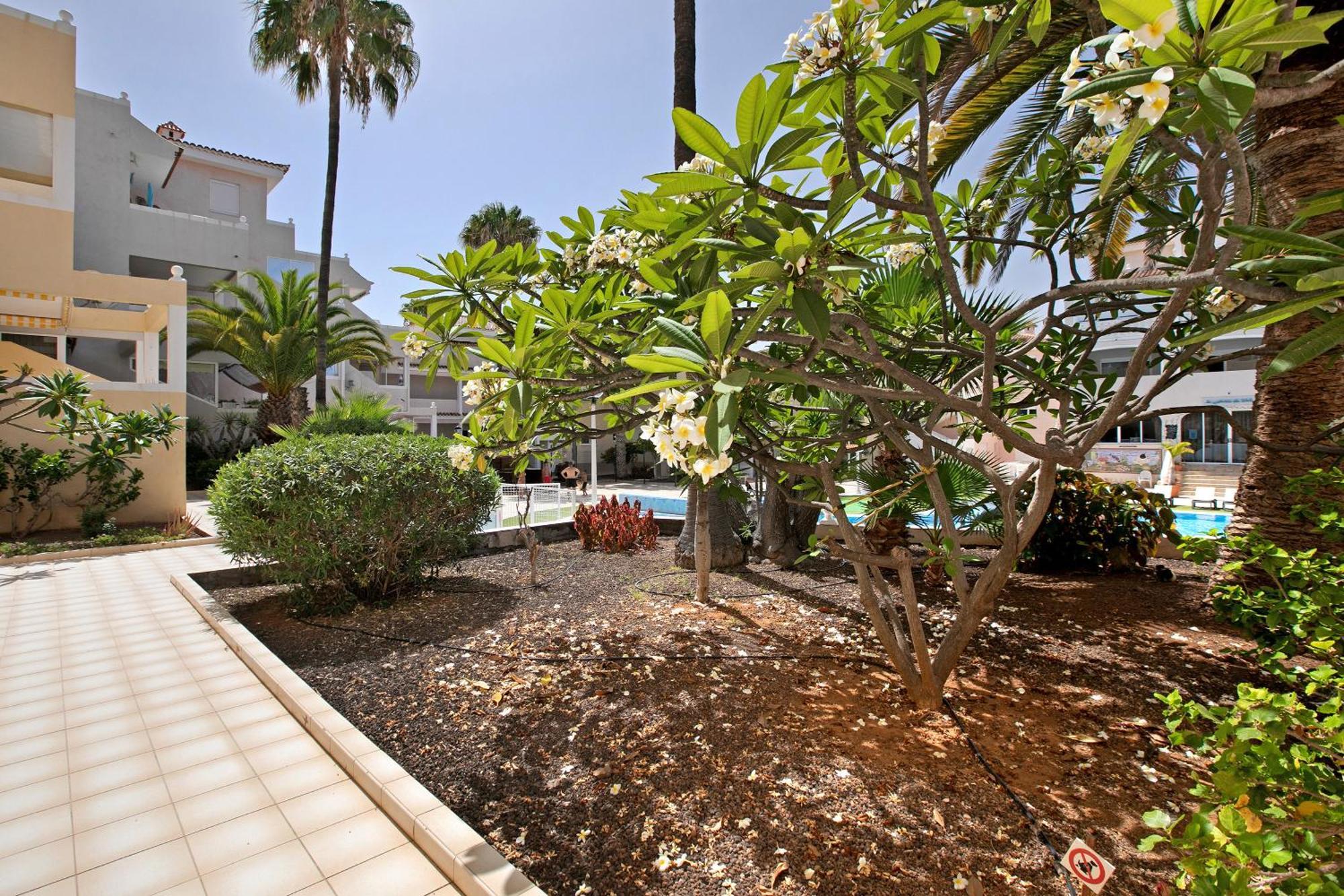 Apartmán Breeze Island Chayofa Exteriér fotografie